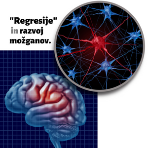 spalna regresija in razvoj možganov